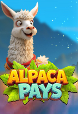 Alpaca Pays